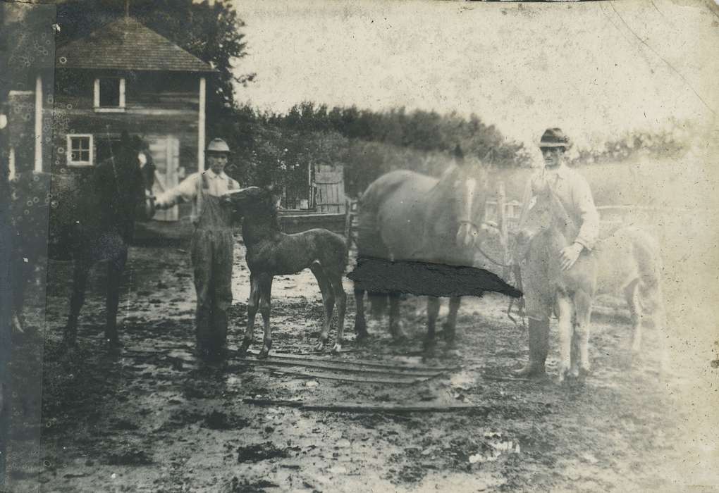 Neessen, Ben, Iowa History, overalls, Iowa, history of Iowa, foal, Portraits - Group, Animals, IA, horse, hat