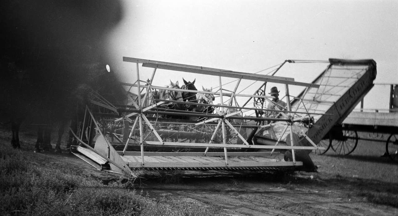 Farming Equipment, history of Iowa, Iowa, University of Northern Iowa Museum, Iowa History, MT, Animals