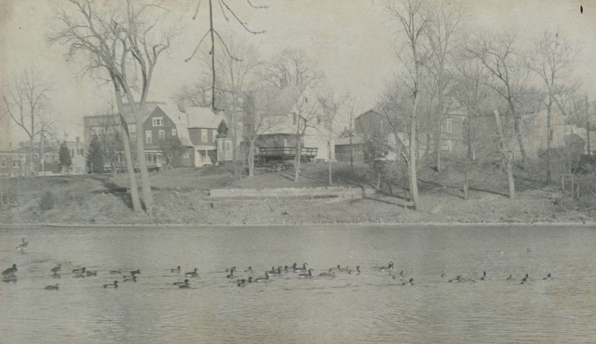 cedar river, Animals, Lakes, Rivers, and Streams, IA, ducks, Homes, Waverly Public Library, Iowa, history of Iowa, Iowa History