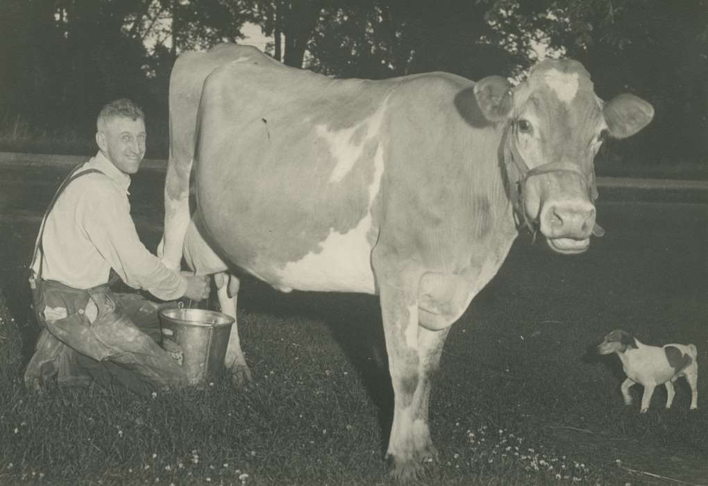 Labor and Occupations, pail, Iowa History, Animals, cow, history of Iowa, milking, Portraits - Individual, Iowa, dog, Epworth, IA, McDermott, Helen, Farms