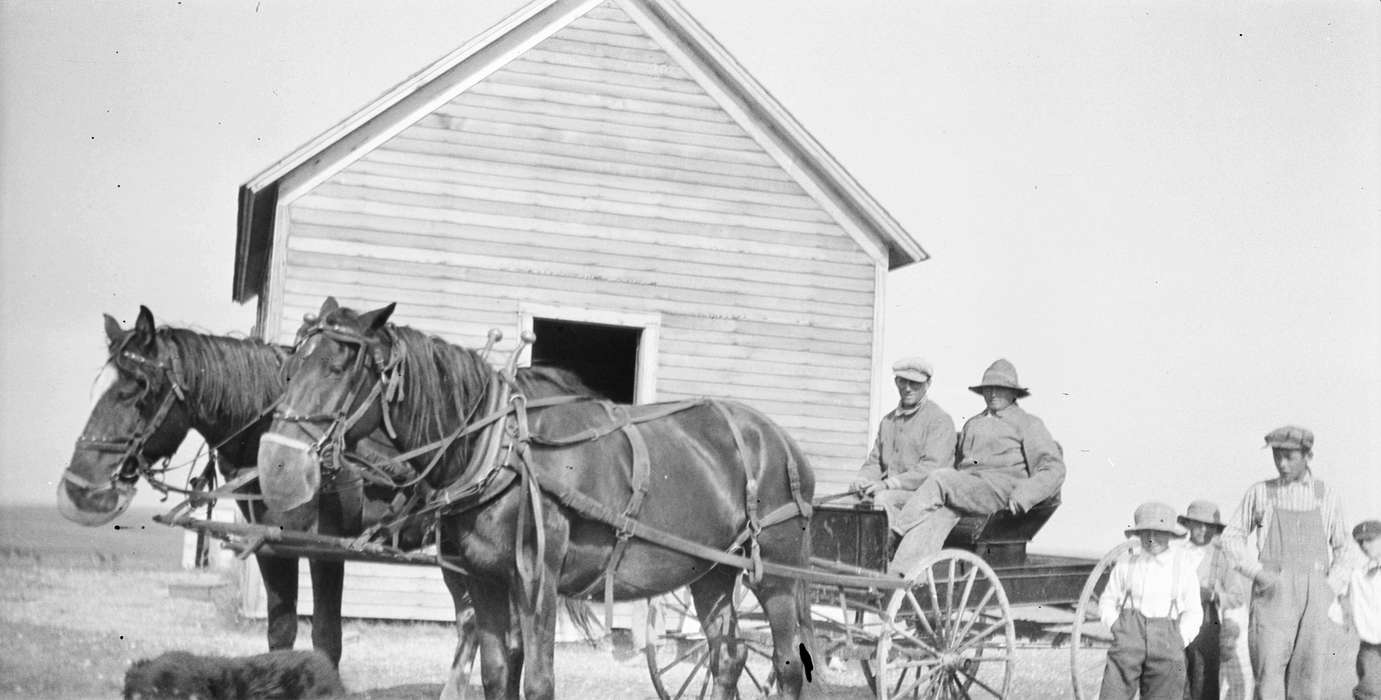 rural school, Farming Equipment, history of Iowa, Iowa History, University of Northern Iowa Museum, MT, Animals, Iowa, Schools and Education, Farms