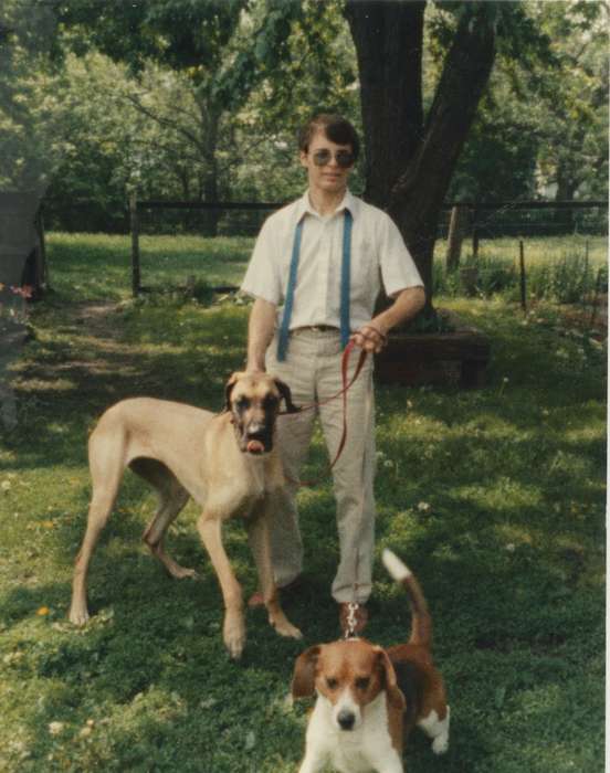 pets, dogs, history of Iowa, Iowa History, Animals, beagle, great dane, sunglasses, boy, Olsson, Ann and Jons, Waterloo, IA, Iowa, Portraits - Individual