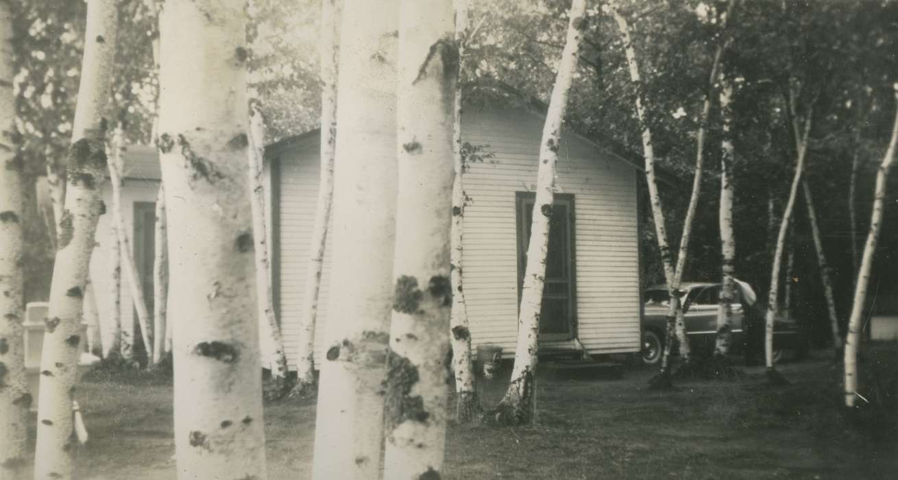 history of Iowa, Iowa History, Stockton, IA, trees, birch, Iowa, Landscapes, Homes, Knutsen, Harry & Char