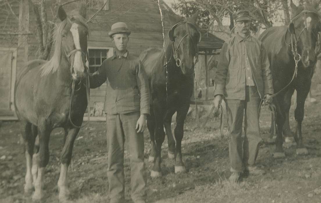 history of Iowa, Farms, Peru Township, IA, Animals, Iowa, Fredericks, Robert, horse, Iowa History, Portraits - Group