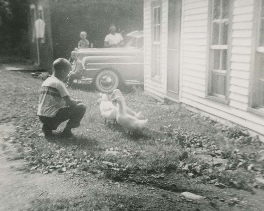 Stanley, IA, history of Iowa, Iowa History, Animals, car, Iowa, Burk, Susan, Children, ducks