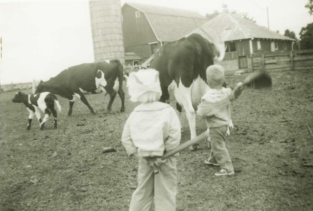 Brus, Mildred, history of Iowa, Iowa History, Families, Barns, Animals, cattle, Alta Vista, IA, silo, Iowa, dairy cow, Farms, Children, Leisure