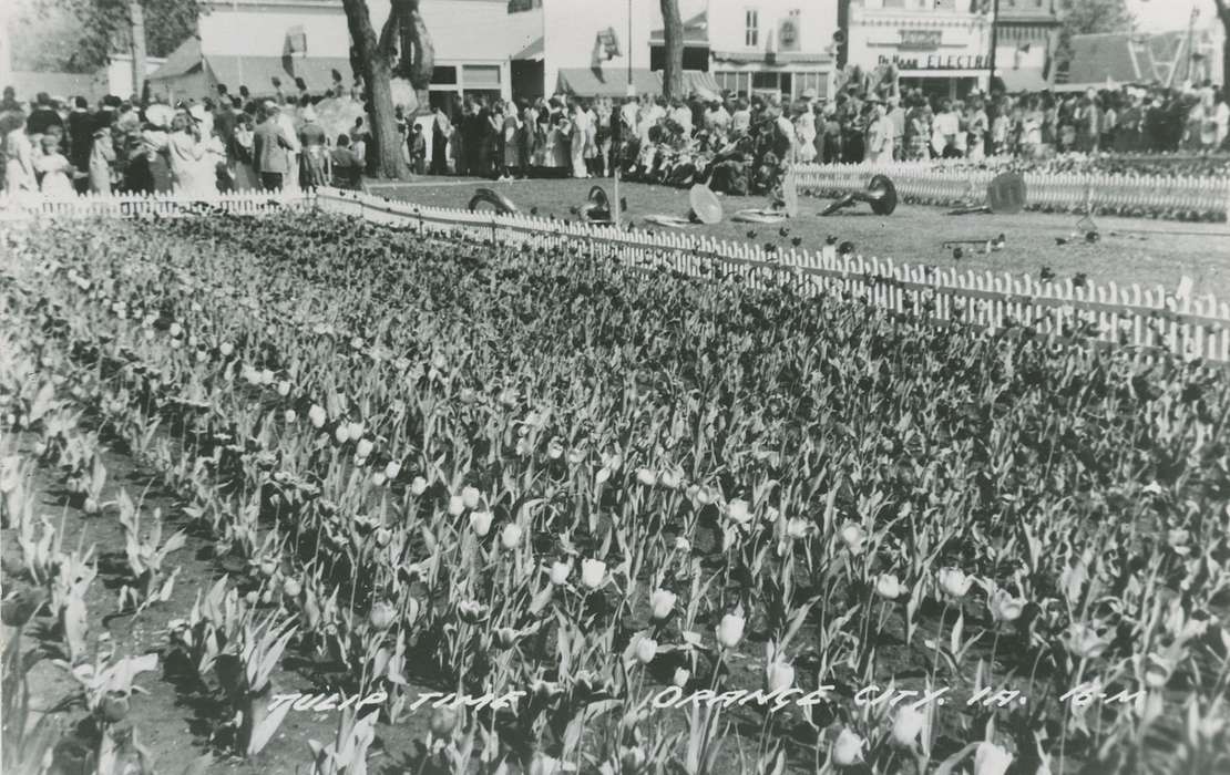 tulip, flowers, Iowa History, Iowa, crowd, Orange City, IA, Palczewski, Catherine, Leisure, Fairs and Festivals, history of Iowa