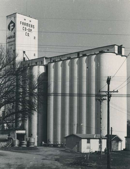 history of Iowa, Iowa History, Businesses and Factories, Waverly, IA, dirt road, building, Iowa, utility pole, Cities and Towns, sign, tree, Waverly Public Library