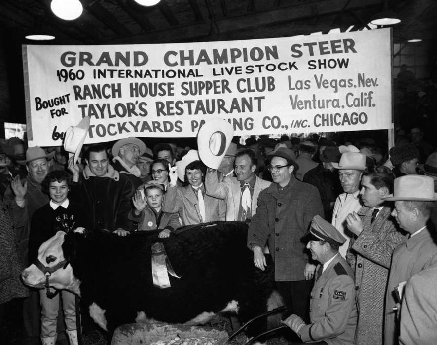 Iowa, champion, Iowa History, Fairs and Festivals, hat, steer, Chicago, IL, history of Iowa, Buch, Kaye, show, bull, glasses