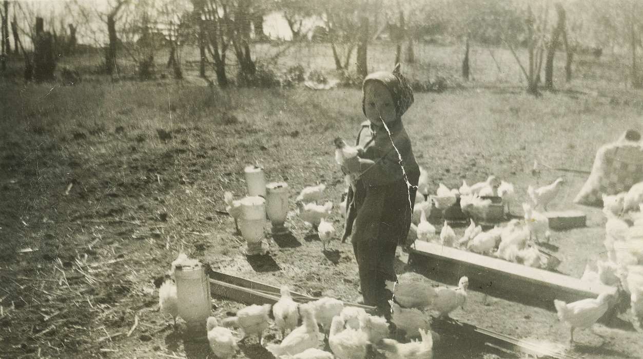 history of Iowa, chicken, Keota, IA, Iowa History, Animals, Iowa, Weber, Karen and Kenny, Farms, Children