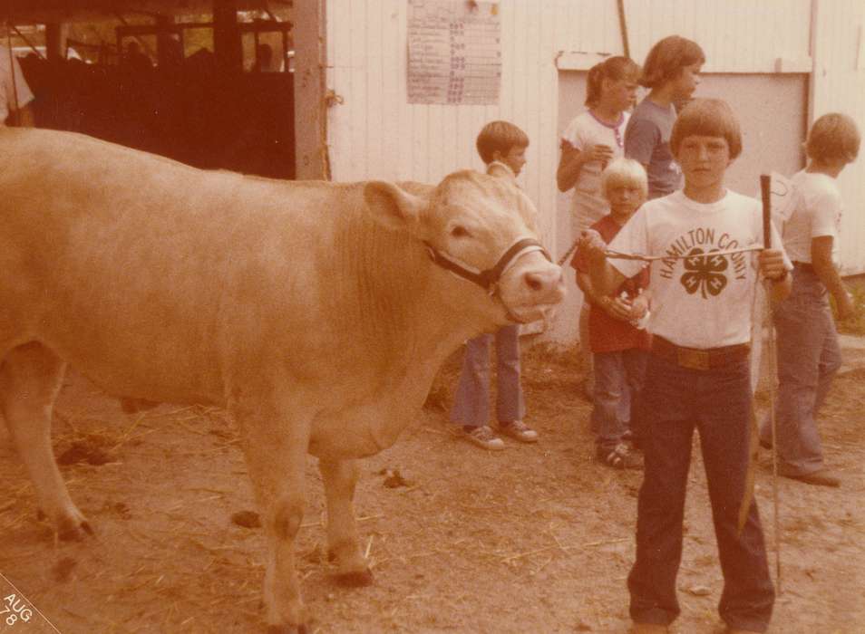 Iowa, Animals, Webster City, IA, Fairs and Festivals, Children, Portraits - Individual, 4-h, Hegland, Merlyn, history of Iowa, county fair, bull, Iowa History