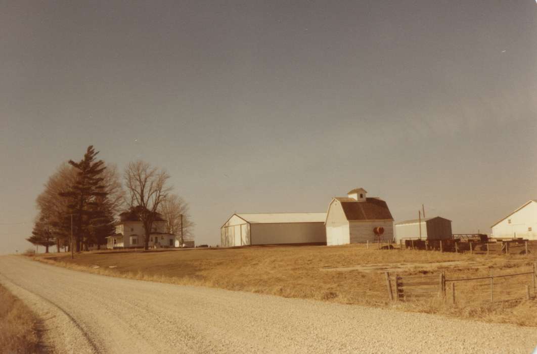history of Iowa, Iowa History, Barns, Albion, IA, Siebring, Kathy, Iowa, cow, rural, Homes, house, Farms