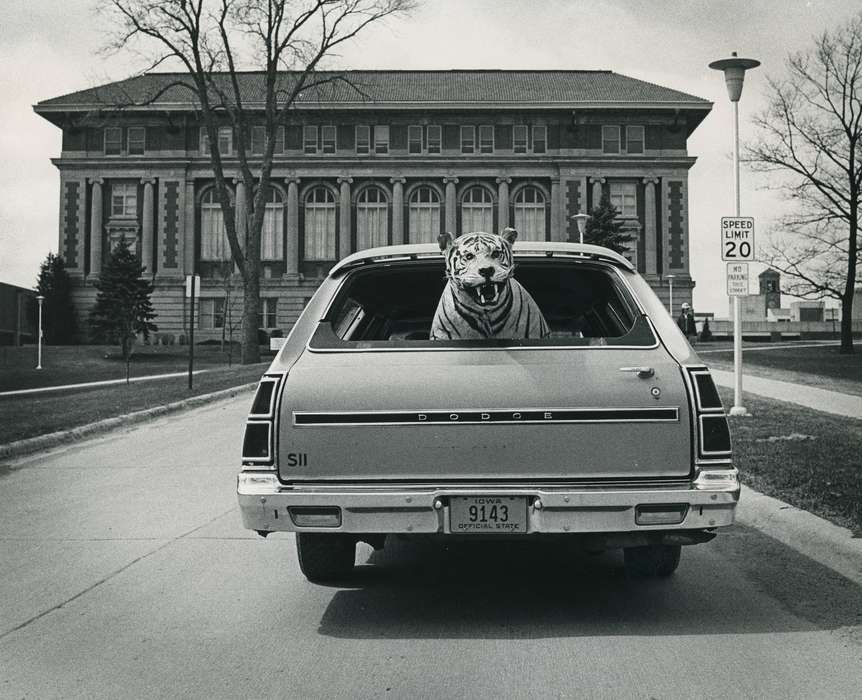 Cedar Falls, IA, history of Iowa, University of Northern Iowa Museum, Iowa History, uni, Motorized Vehicles, Animals, station wagon, Iowa, Schools and Education, university of northern iowa, campanile, seerley hall