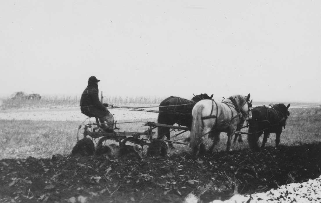 history of Iowa, snow, Walker, Erik, Farms, Animals, Iowa, Cedar Falls, IA, Iowa History, horse, plow