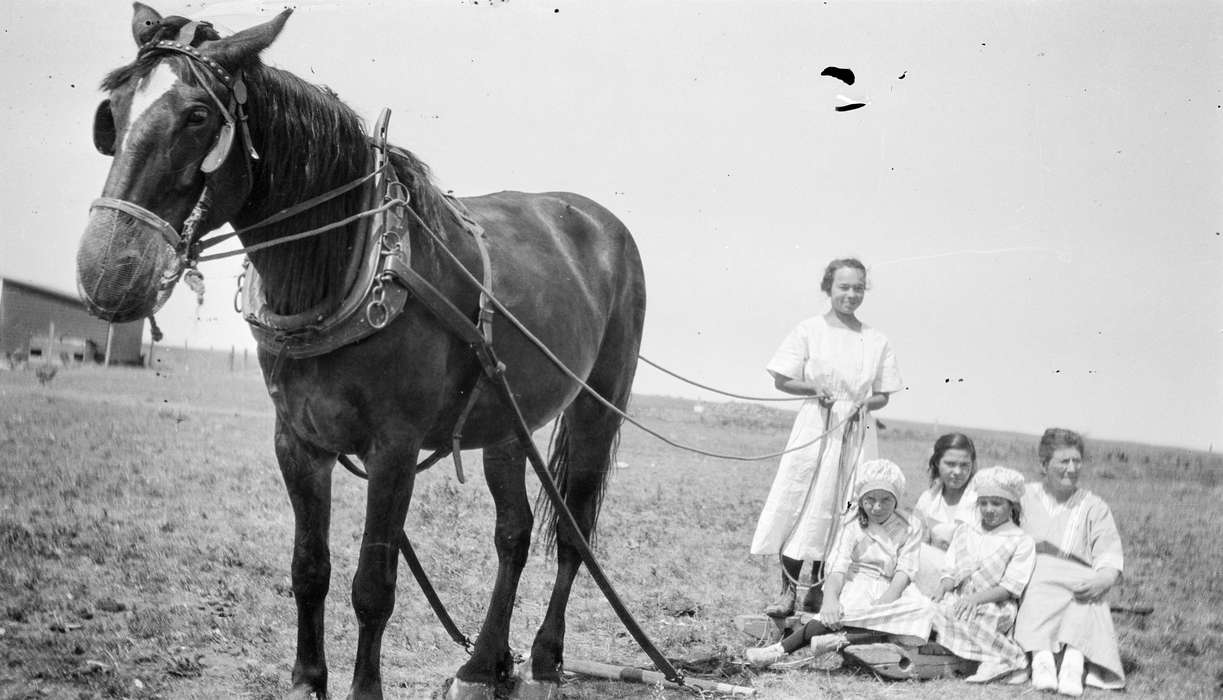 Portraits - Group, MT, University of Northern Iowa Museum, Animals, Iowa History, Iowa, Children, history of Iowa