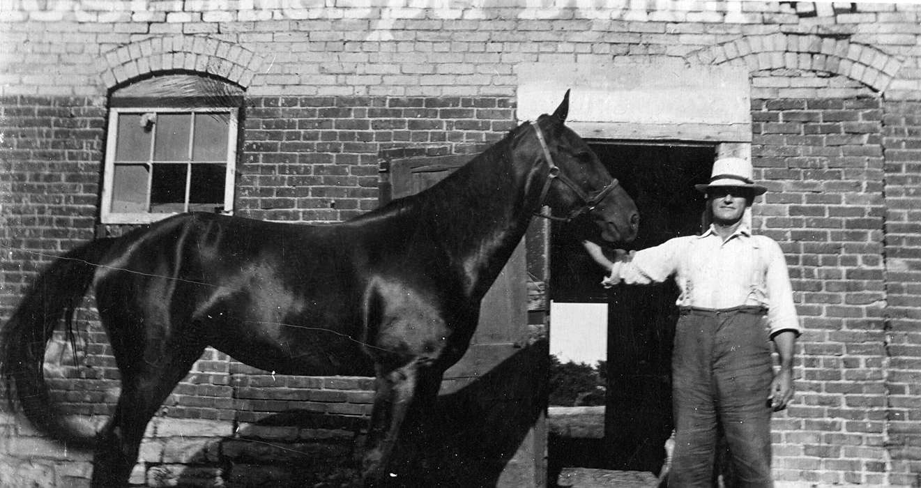 Oskaloosa, IA, farmer, trainer, history of Iowa, Iowa History, Curtis, Leonard, Animals, man, Iowa, horse, breeder, Portraits - Individual