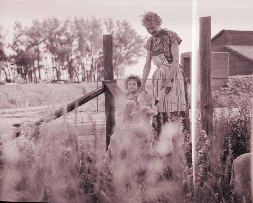 lamb, Lyon, Howard, Iowa History, Children, Iowa, Farms, history of Iowa, Animals, Orange City, IA
