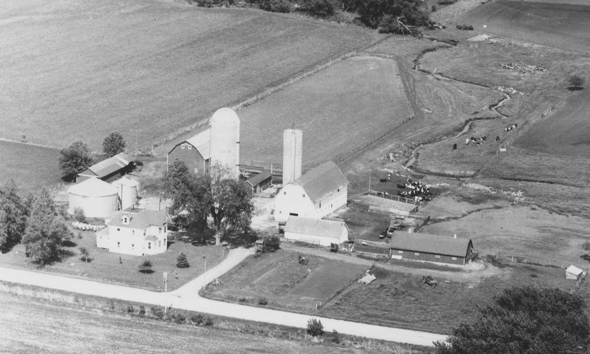 cow, Iowa History, Iowa, silo, grain bin, Harken, Nichole, Aerial Shots, Farms, Coggon, IA, Homes, Barns, history of Iowa