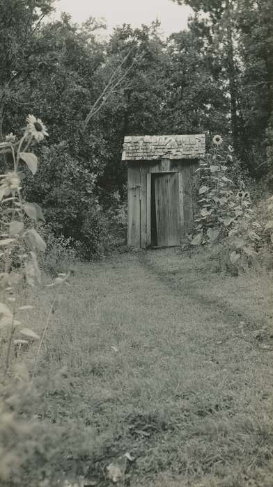 Elderkin, Don, Iowa History, sunflower, Spring Lake, MN, Iowa, summer, flower, outhouse, history of Iowa