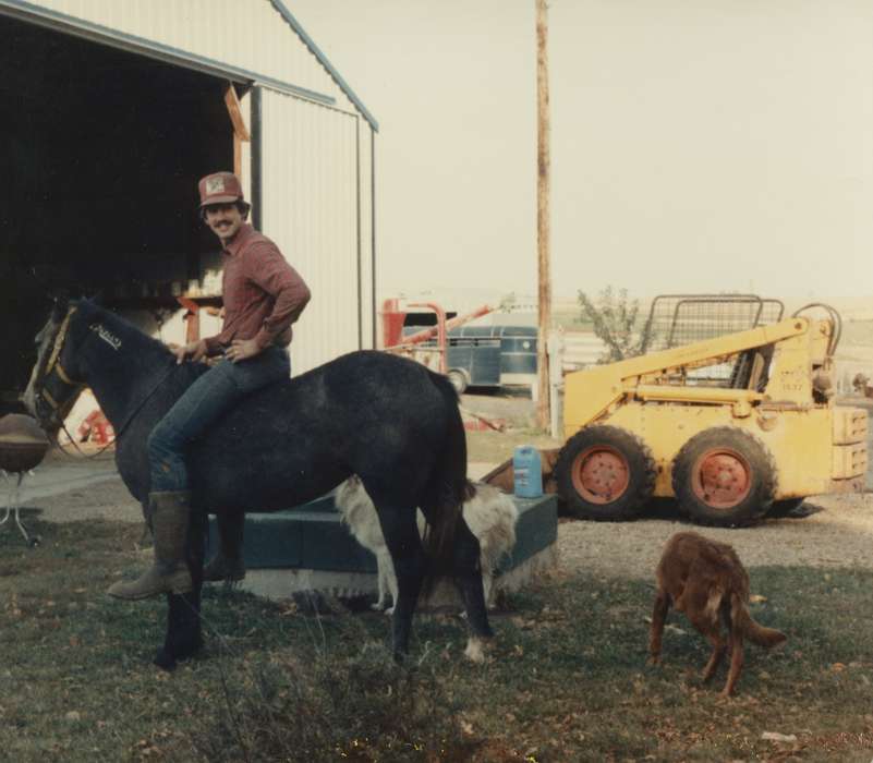 Animals, Iowa History, Iowa, Albion, IA, horse, dog, Farms, Farming Equipment, Siebring, Kathy, history of Iowa