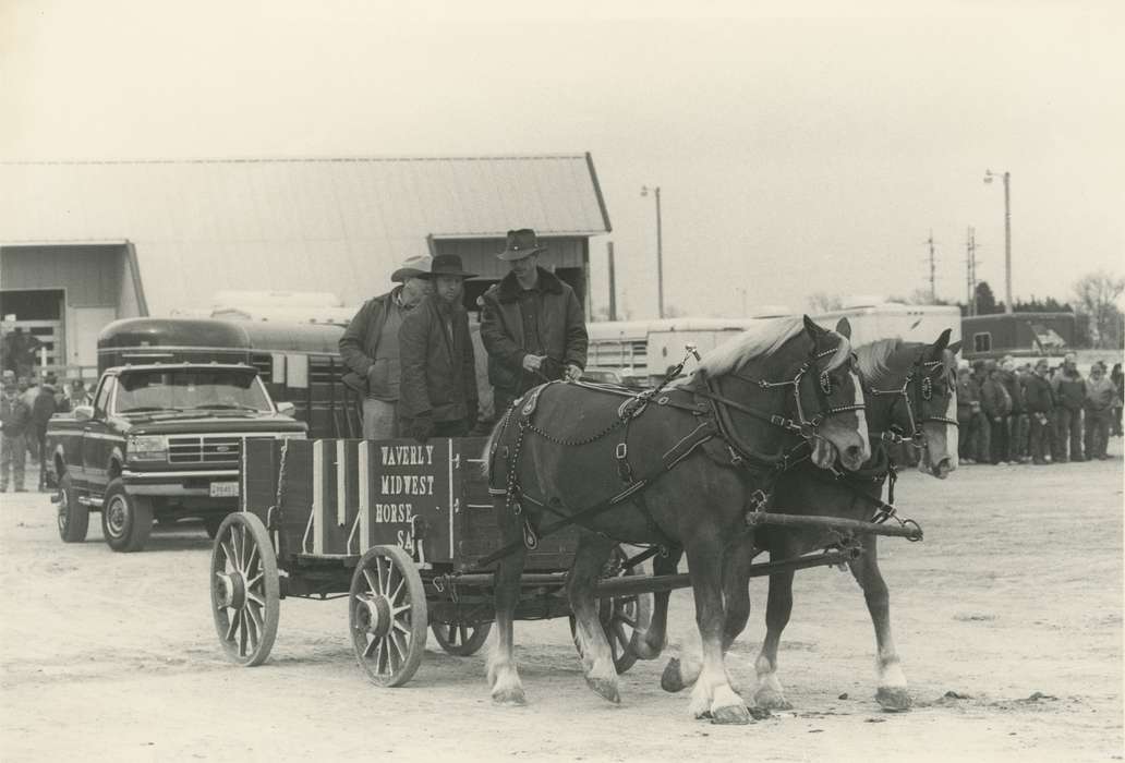 history of Iowa, Iowa History, truck, Motorized Vehicles, Civic Engagement, horse and buggy, Animals, Waverly, IA, Iowa, Waverly Public Library