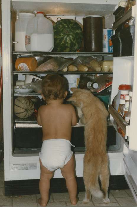 Animals, cat, Iowa History, Iowa, refrigerator, Albion, IA, baby, history of Iowa, Homes, Siebring, Kathy, Children, Food and Meals